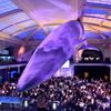 AMNH Backs Out Of Bolsonaro Gala After Sustained Public Outcry